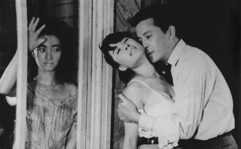 Người Hầu Gái 1960 - The Housemaid (1960)