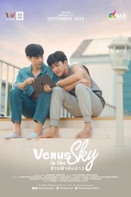 Venus in the Sky