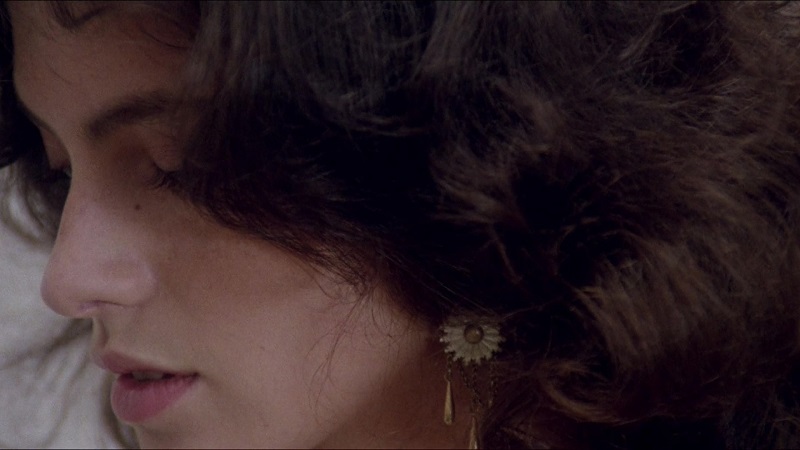 Khách Sạn Dục Vọng - Honey (1981)